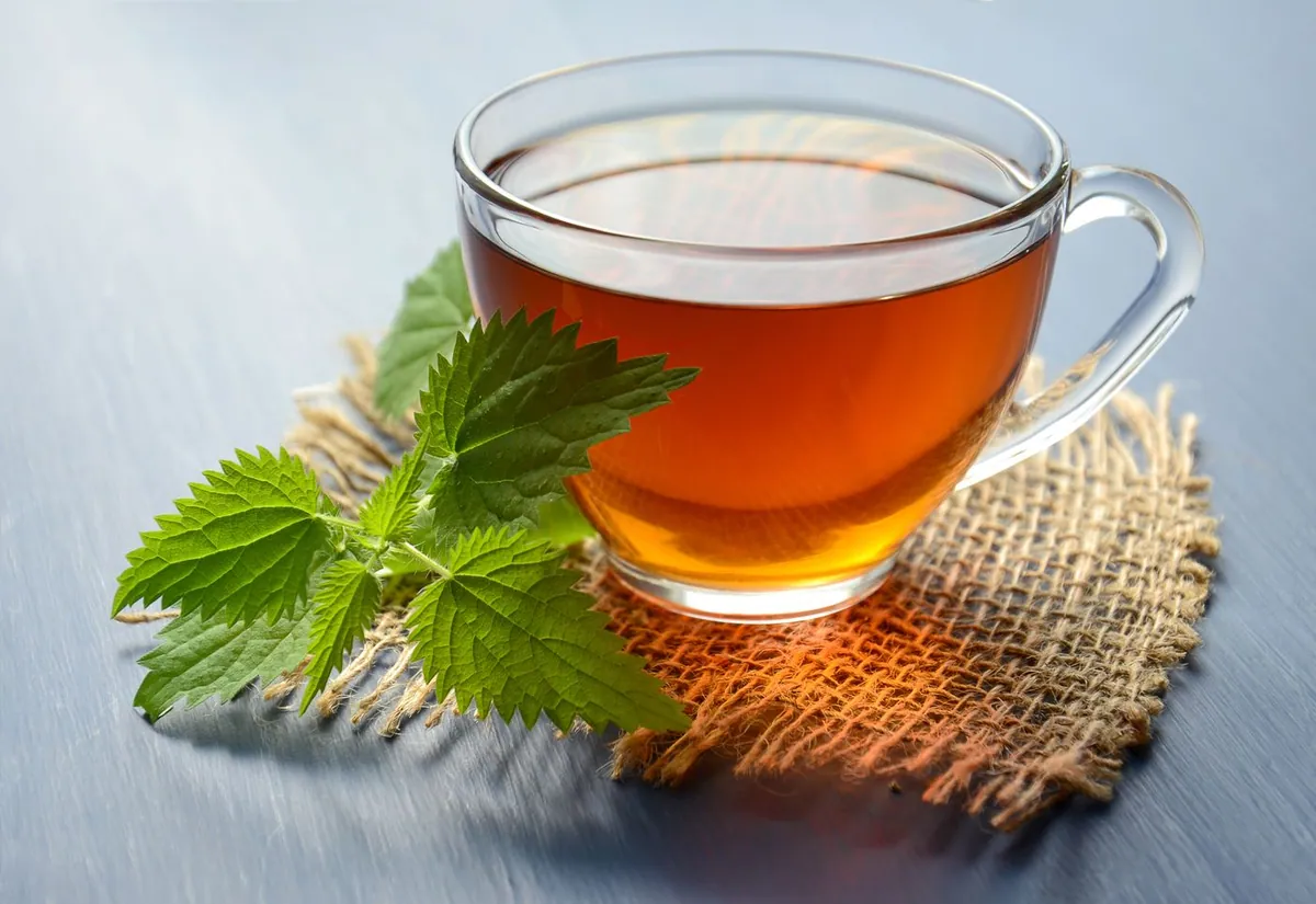 Herbal tea with fresh mint leaves